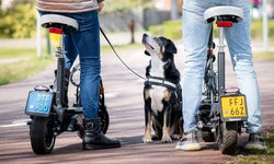 Elektrische step Amsterdam: wetgeving, tips & mogelijkheden