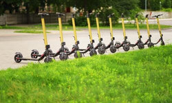 Frog step huren: hoe werkt het & zijn ze in Nederland beschikbaar?