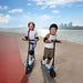 Ninebot C2 Lite Segway-Ninebot 