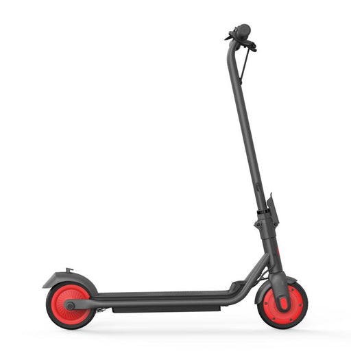 Ninebot C20 Elektrische step Segway-Ninebot 